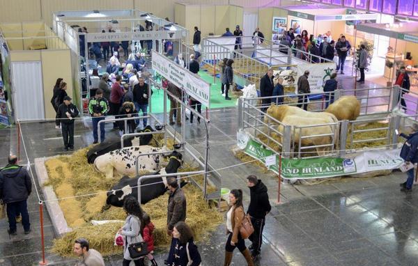 Zootechnia - Int'l Fair For Livestock & Poultry 3 https://www.zootechnia-expo.gr/wp-content/uploads/2022/12/zootechnia-description-1.jpg?utm_source=chatgpt.com